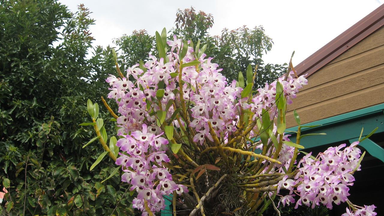 הוילה לה טאמפון Les Agapanthes מראה חיצוני תמונה