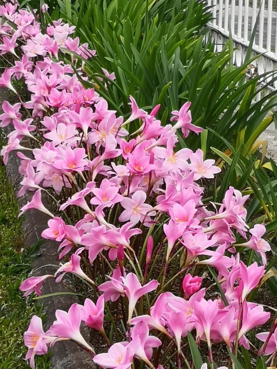 הוילה לה טאמפון Les Agapanthes מראה חיצוני תמונה